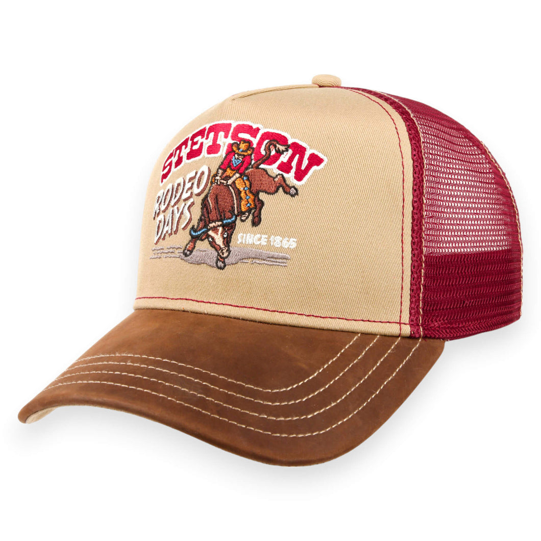 Stetson Pet multicolor variëteit katoen