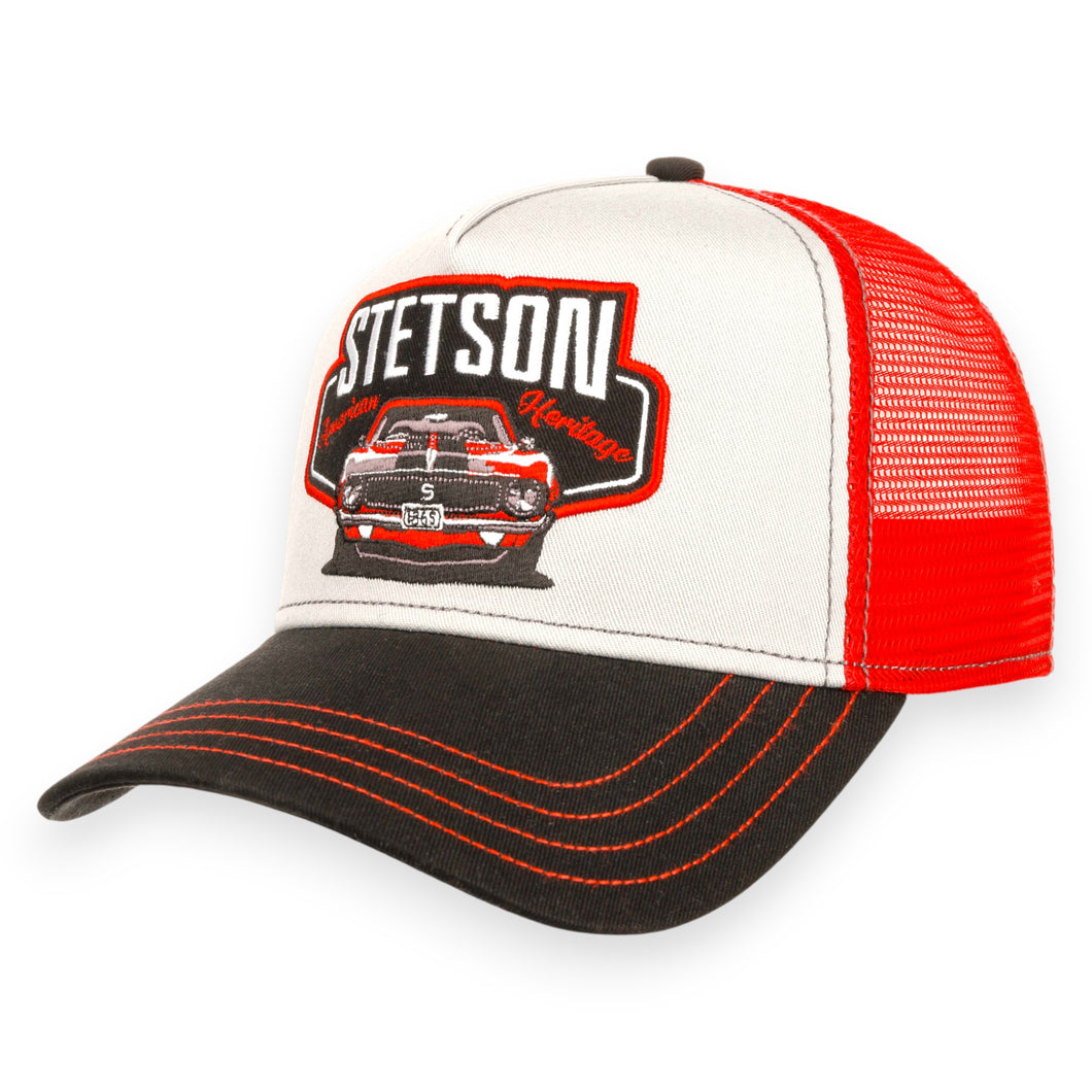 Stetson Pet multicolor variëteit katoen