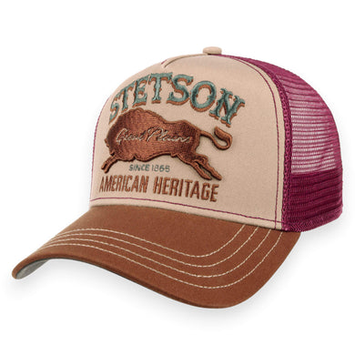 Stetson Pet multicolor variëteit katoen